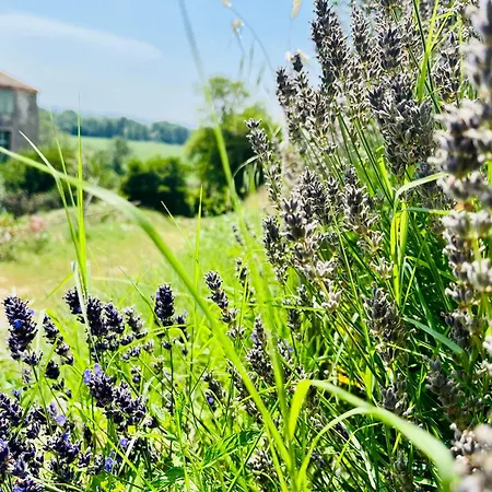 Apartmán Le Regard Du Chateau - Pierre Et Design Premium